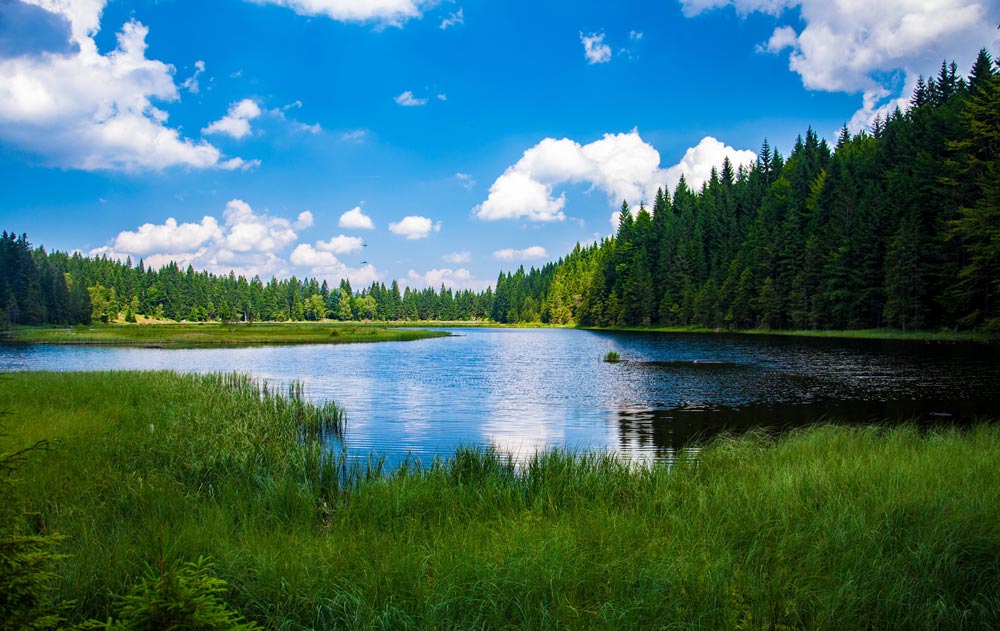 Estrie Montérégie
